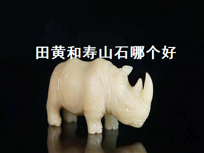 田黃和壽山石哪個(gè)好（田黃和壽山石哪個(gè)好）