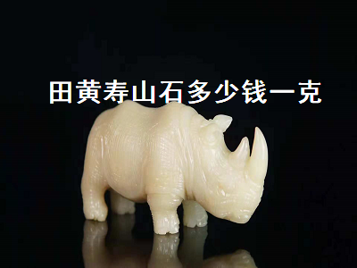 田黃壽山石多少錢一克（壽山田黃原石多錢一克）