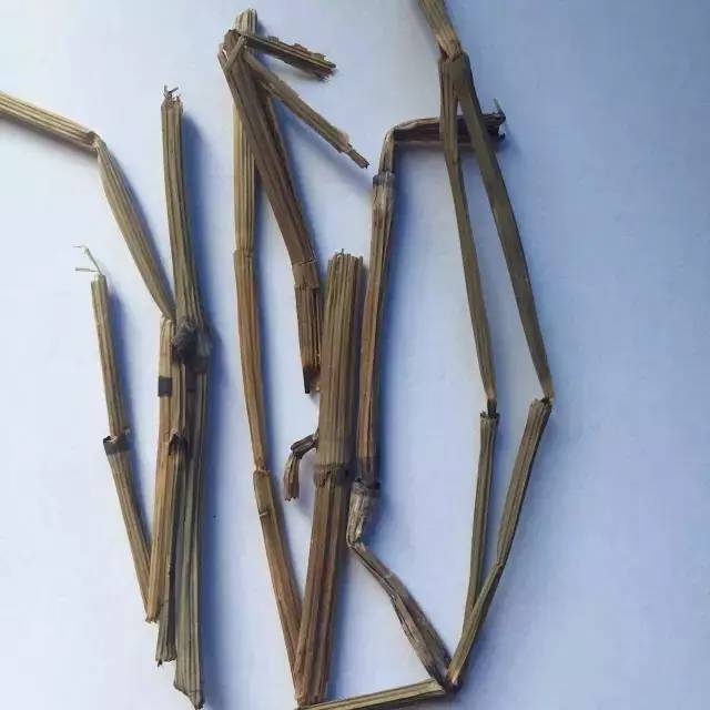 壽山石雕的雕刻過程 壽山石雕的雕刻過程