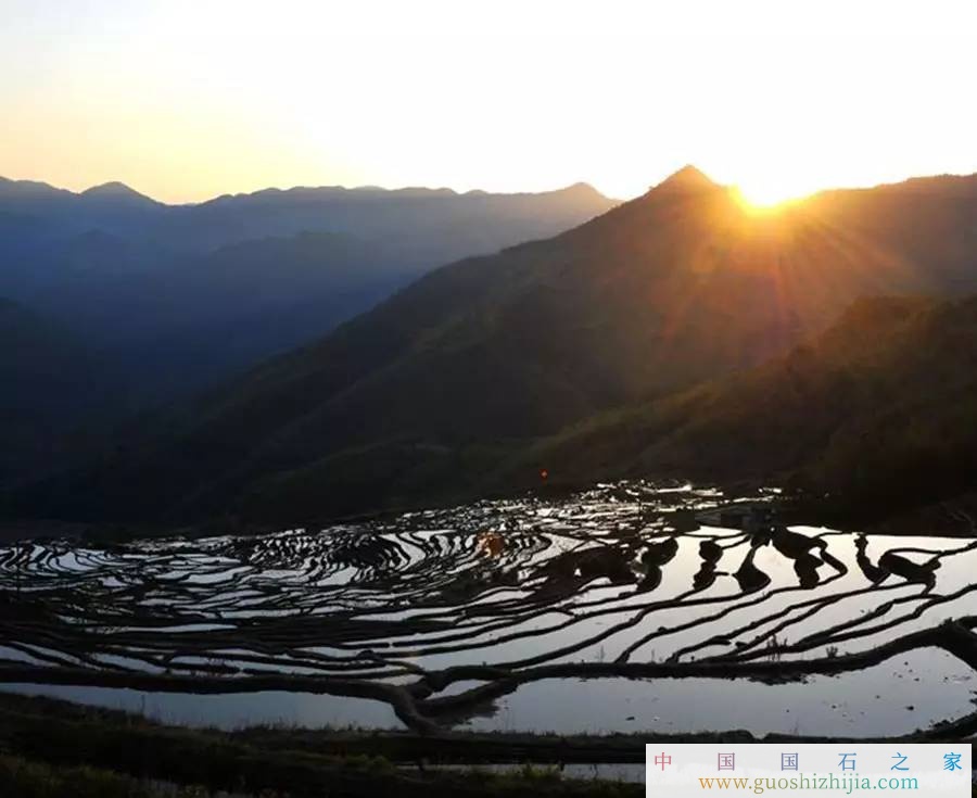 壽山石:一部福建發展史的紀錄片 壽山石:一部福建發展史的紀錄片
