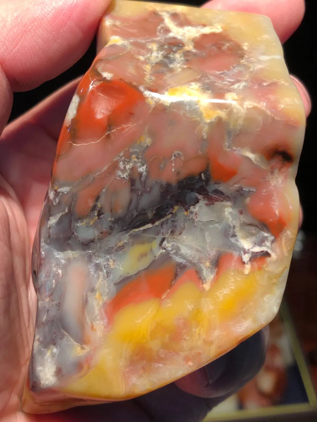 偶遇珍惜壽山石品種迷翠寮