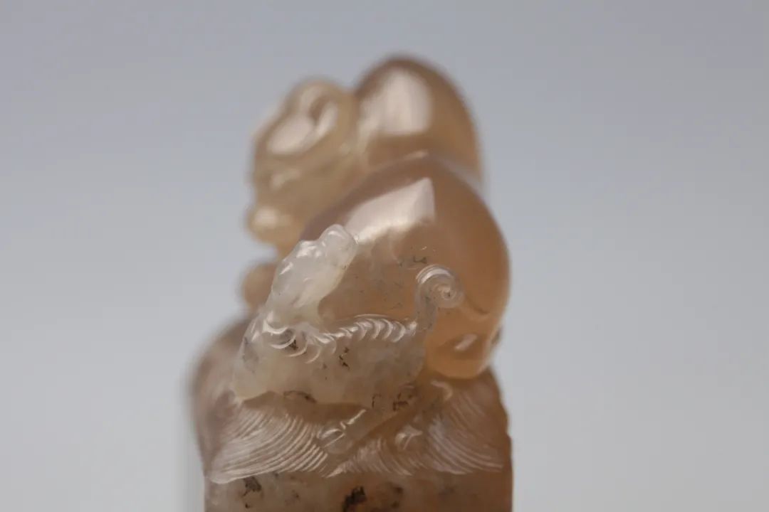 眾星捧月石壽山石鬼晶級(jí)牛角凍 壽山牛角凍有什么特點(diǎn)和特征