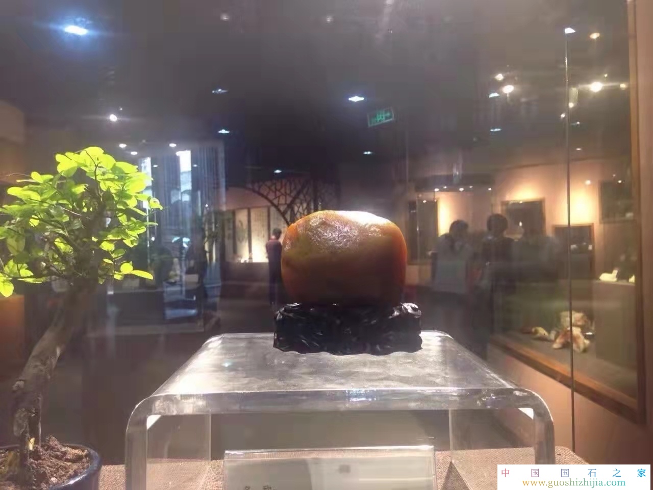 福建壽山田黃石產地是哪里，極品壽山田黃石有哪些特征