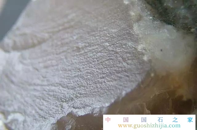 坑頭石是什么石？壽山水坑頭石原石照片！