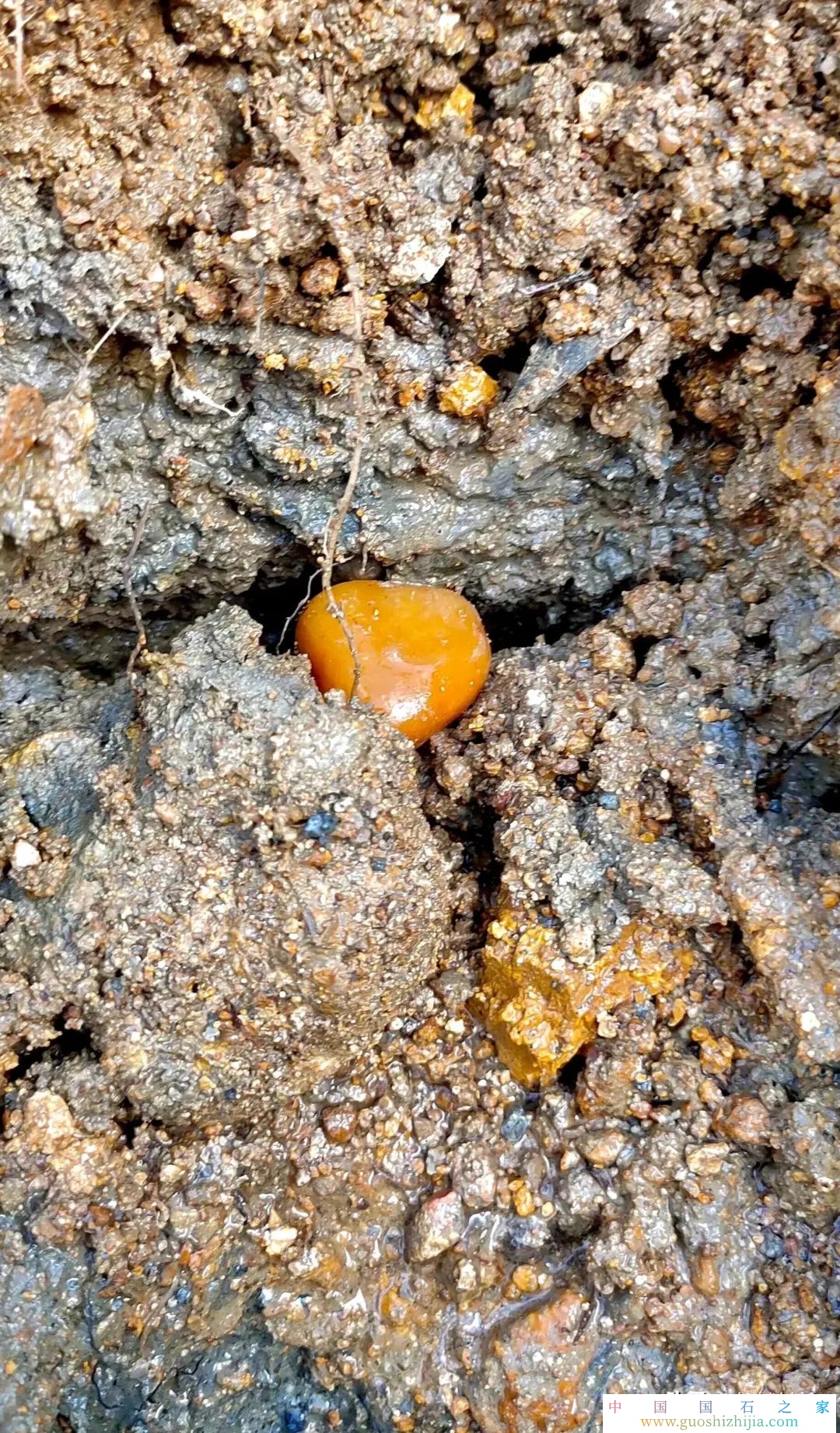 走近壽山石之瑰寶——田黃照片大全