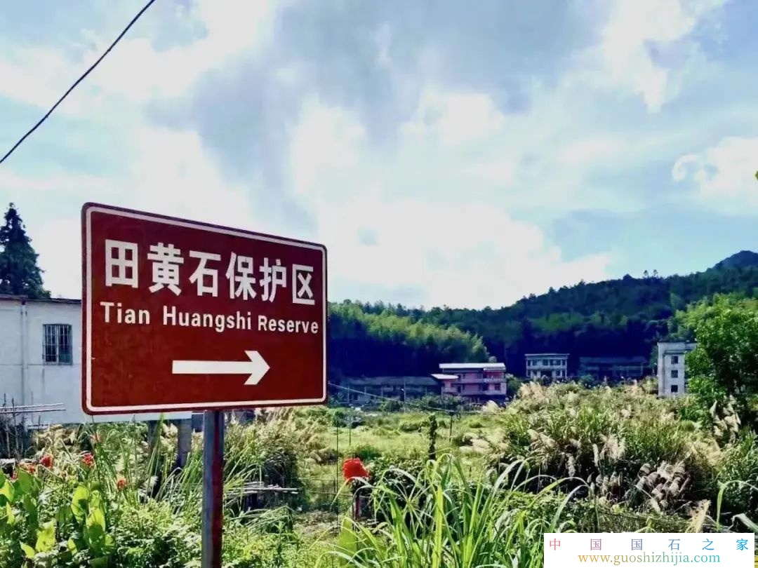走近壽山石之瑰寶——田黃照片大全
