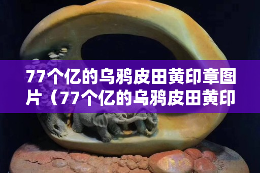 77個億的烏鴉皮田黃印章圖片（77個億的烏鴉皮田黃印章圖片）