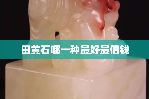 田黃石哪一種最好最值錢(qián)