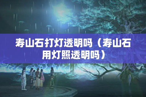 壽山石打燈透明嗎（壽山石用燈照透明嗎）
