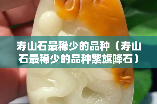 壽山石最稀少的品種（壽山石最稀少的品種紫旗降石）