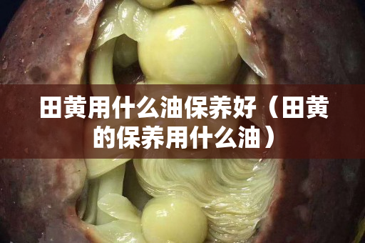 田黃用什么油保養(yǎng)好（田黃的保養(yǎng)用什么油）