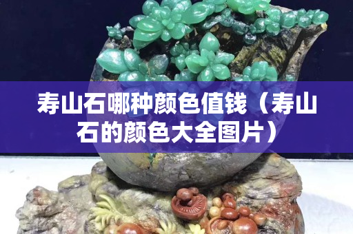 壽山石哪種顏色值錢（壽山石的顏色大全圖片）
