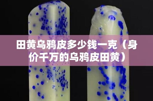 田黃烏鴉皮多少錢一克（身價千萬的烏鴉皮田黃）