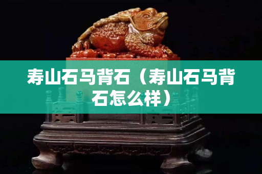 壽山石馬背石（壽山石馬背石怎么樣）