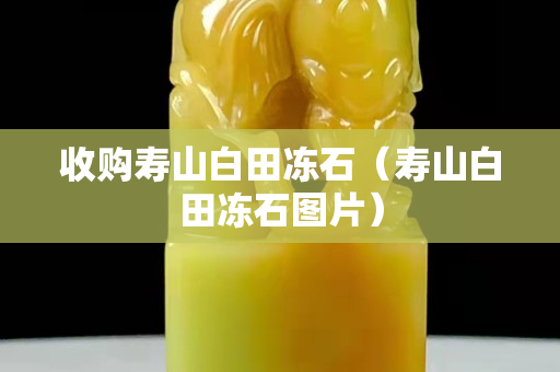 收購壽山白田凍石（壽山白田凍石圖片）
