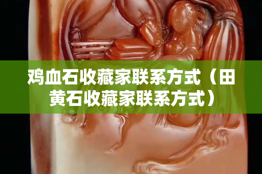 雞血石收藏家聯(lián)系方式（田黃石收藏家聯(lián)系方式）