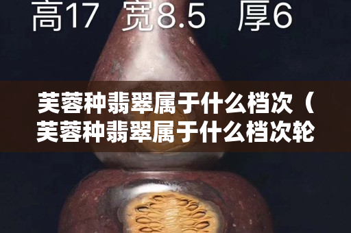 芙蓉種翡翠屬于什么檔次（芙蓉種翡翠屬于什么檔次輪胎）