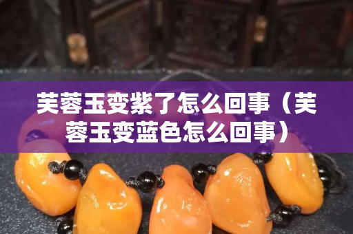 芙蓉玉變紫了怎么回事（芙蓉玉變藍色怎么回事）