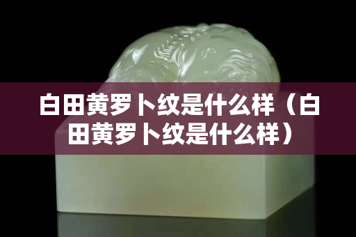 白田黃羅卜紋是什么樣（白田黃羅卜紋是什么樣）