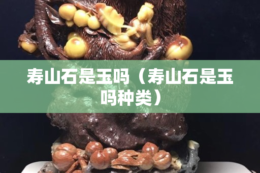 壽山石是玉嗎（壽山石是玉嗎種類）