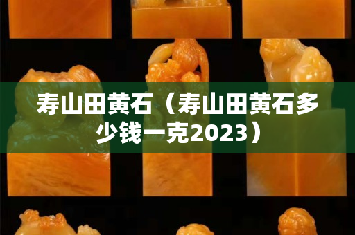 壽山田黃石（壽山田黃石多少錢一克2023）