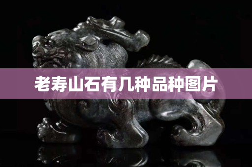 老壽山石有幾種品種圖片