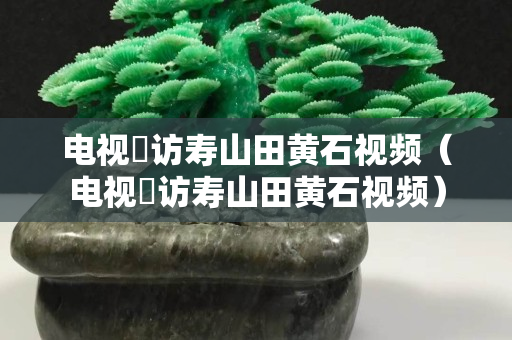 電視釆訪壽山田黃石視頻（電視釆訪壽山田黃石視頻）