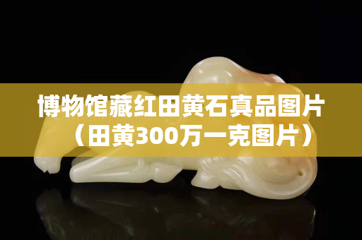博物館藏紅田黃石真品圖片（田黃300萬一克圖片）