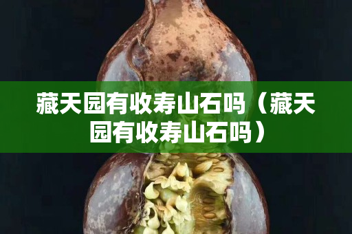 藏天園有收壽山石嗎（藏天園有收壽山石嗎）