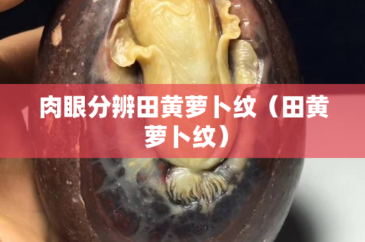 肉眼分辨田黃蘿卜紋（田黃 蘿卜紋）