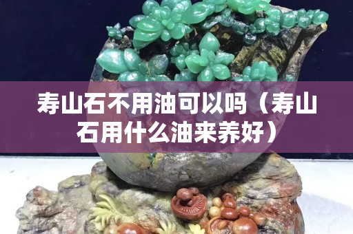 壽山石不用油可以嗎（壽山石用什么油來養好）