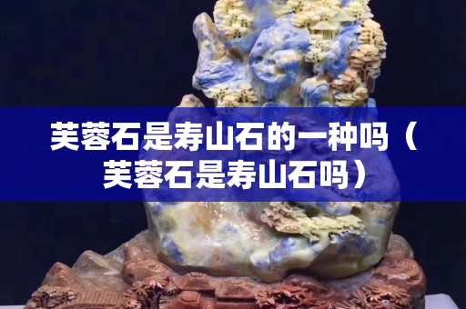 芙蓉石是壽山石的一種嗎（芙蓉石是壽山石嗎）