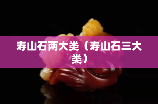 壽山石兩大類（壽山石三大類）