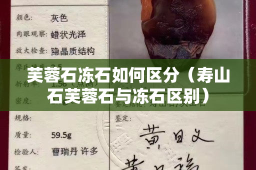 芙蓉石凍石如何區分（壽山石芙蓉石與凍石區別）