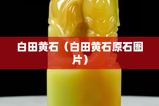 白田黃石（白田黃石原石圖片）