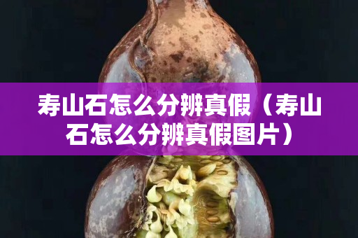 壽山石怎么分辨真假（壽山石怎么分辨真假圖片）