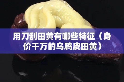 用刀刮田黃有哪些特征（身價千萬的烏鴉皮田黃）