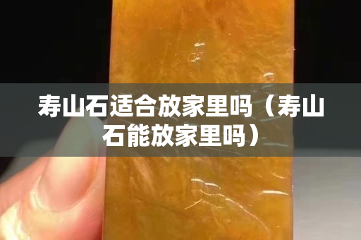 壽山石適合放家里嗎（壽山石能放家里嗎）