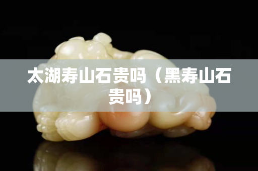 太湖壽山石貴嗎（黑壽山石貴嗎）