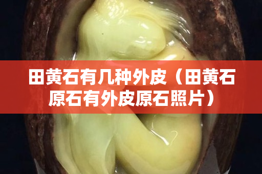 田黃石有幾種外皮（田黃石原石有外皮原石照片）