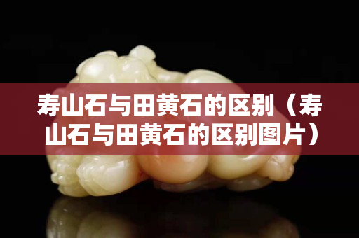 壽山石與田黃石的區別（壽山石與田黃石的區別圖片）