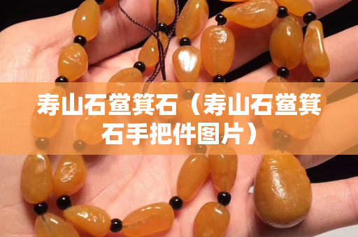 壽山石鱟箕石（壽山石鱟箕石手把件圖片）