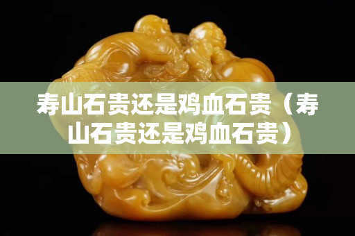 壽山石貴還是雞血石貴（壽山石貴還是雞血石貴）