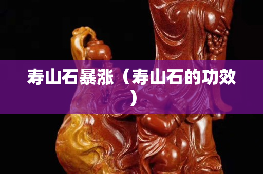 壽山石暴漲（壽山石的功效）