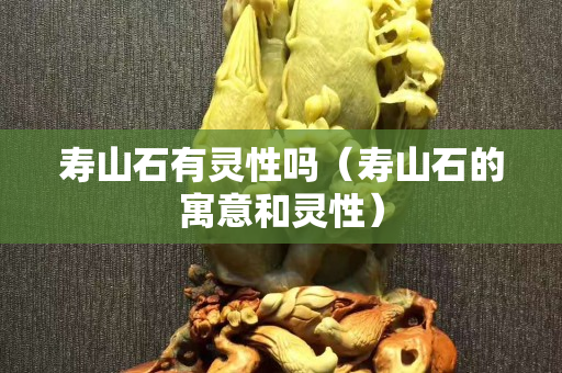 壽山石有靈性嗎（壽山石的寓意和靈性）