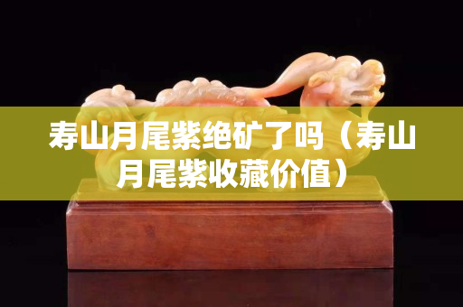 壽山月尾紫絕礦了嗎（壽山月尾紫收藏價值）