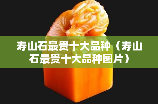 壽山石最貴十大品種（壽山石最貴十大品種圖片）