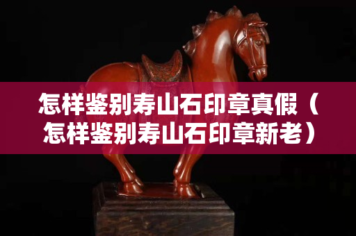 怎樣鑒別壽山石印章真假（怎樣鑒別壽山石印章新老）