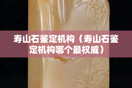 壽山石鑒定機構(gòu)（壽山石鑒定機構(gòu)哪個最權(quán)威）
