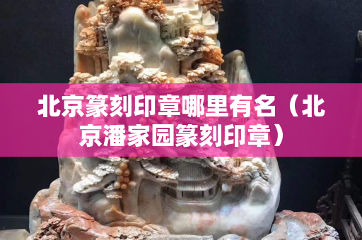 北京篆刻印章哪里有名（北京潘家園篆刻印章）